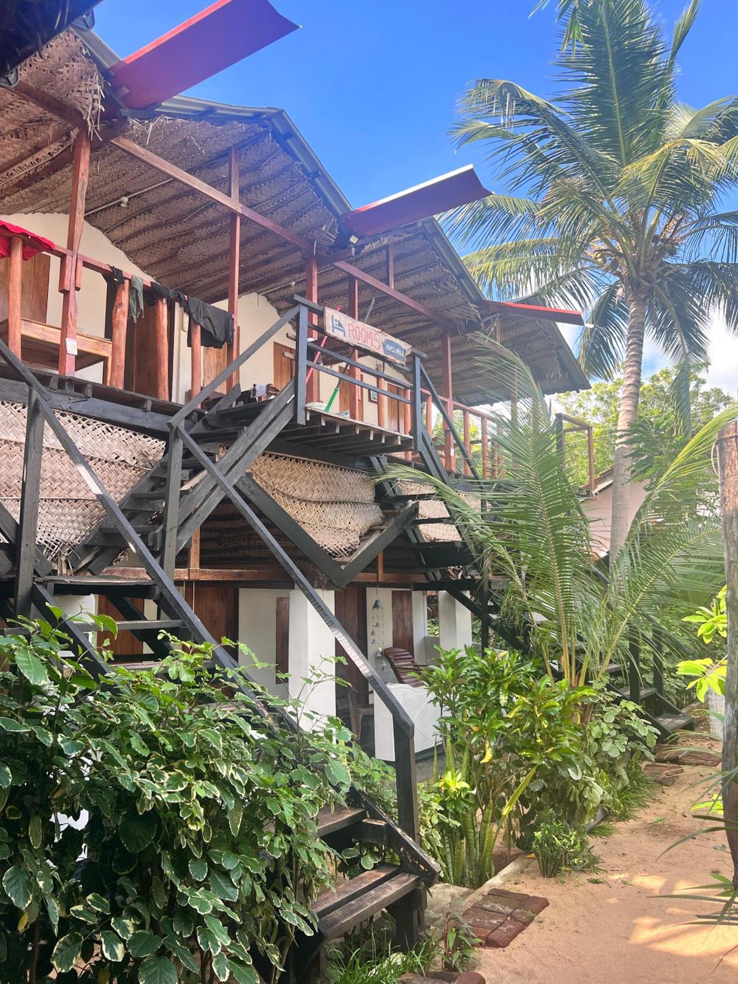 Wave Hunters Hostel Аругам Бей Екстериор снимка